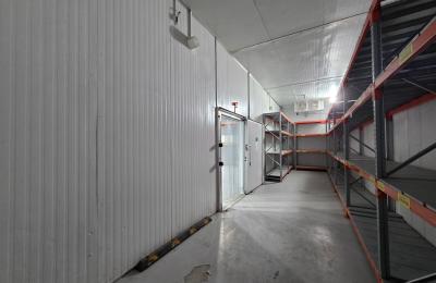 Premium Cold Storage Warehouse for Rent in Umm Ramool – 48,000 Sqft | 7 Freezers + 2 Chillers | 700 KW | Turn-Key Ready | AED 4.5M
