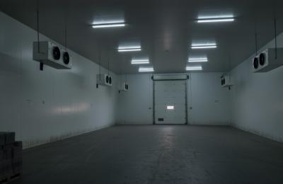 Cold Storage Warehouse for Rent in Rashidiya / Umm Ramool, Dubai | 2,200 sq.ft | AED 230,000 | No VAT, No DREC Fee